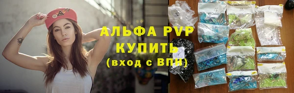 винт Алексин