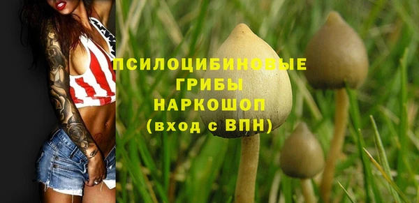 ешки Алзамай