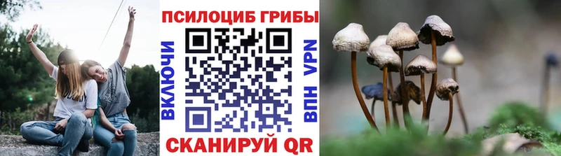 даркнет сайт Тюкалинск OMG рабочий сайт Галлюциногенные грибы мицелий